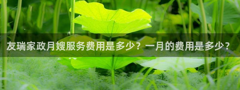 杏悦1招商地址