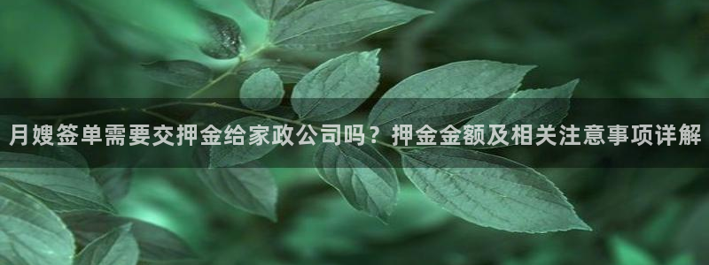 杏悦平台代理怎么样