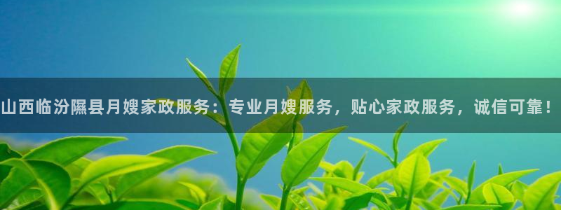 杏悦平台代理怎么样啊
