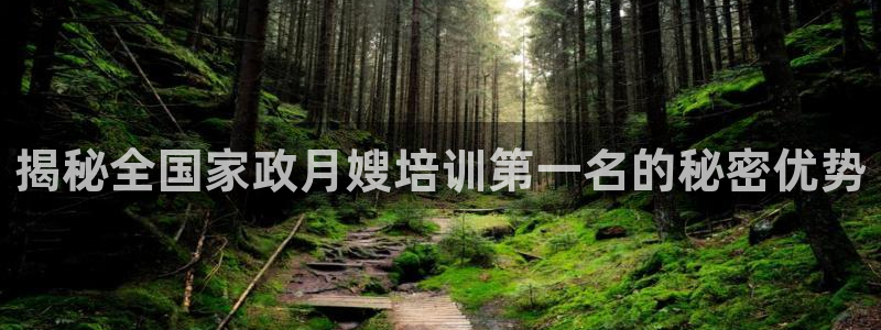 杏悦登入