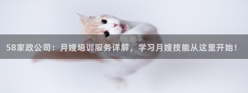 杏悦官方平台官网