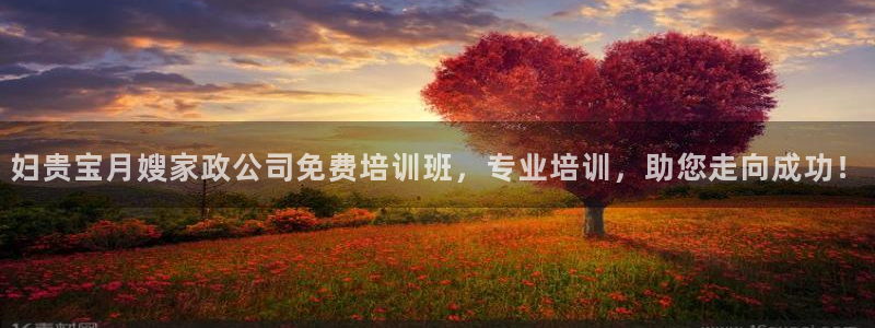 杏悦是什么平台