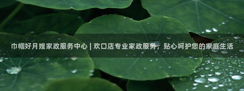 杏悦是什么平台