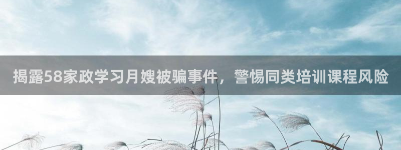 杏悦平台代理