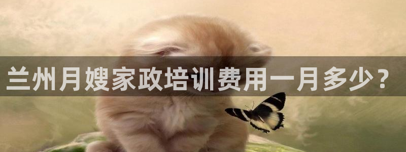 杏悦平台代理