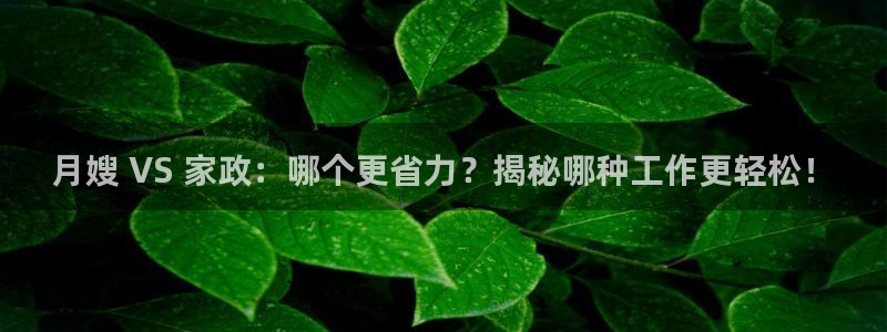 杏悦是什么平台
