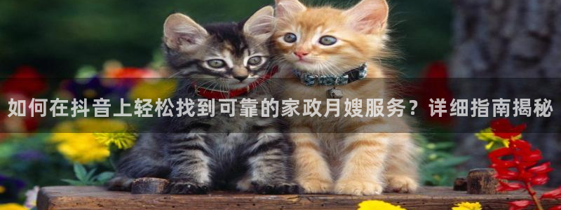 杏悦平台可靠吗是真的吗
