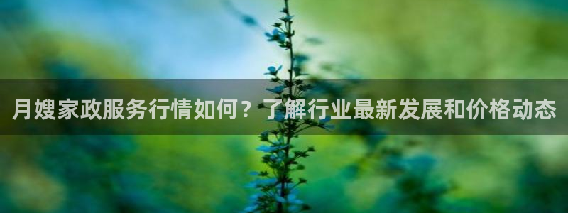 杏悦平台招商电话