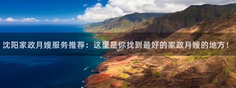 杏悦主管