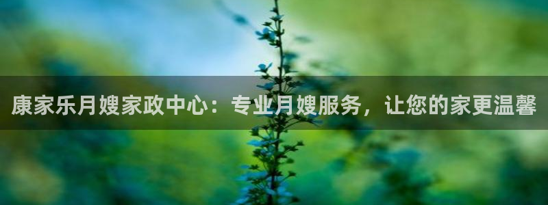 杏悦平台代理怎么做赚钱