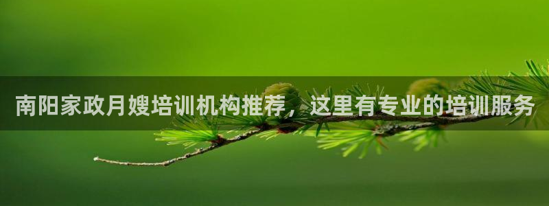 杏悦平台登陆