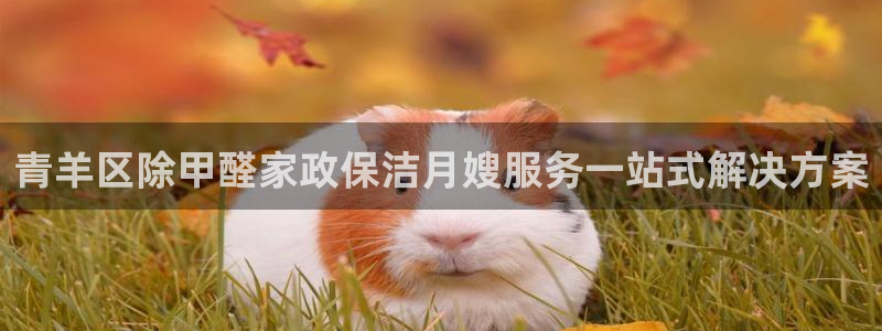 杏悦平台公司介绍