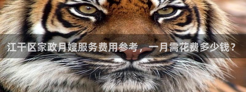 杏悦地址