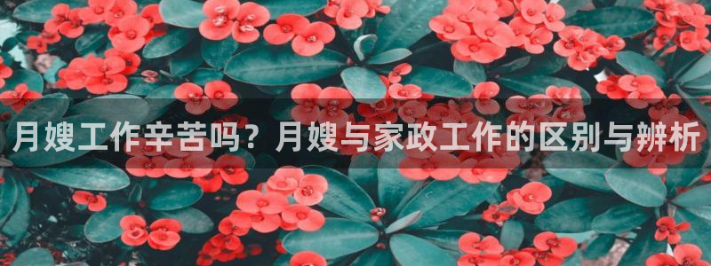 杏悦官网客服