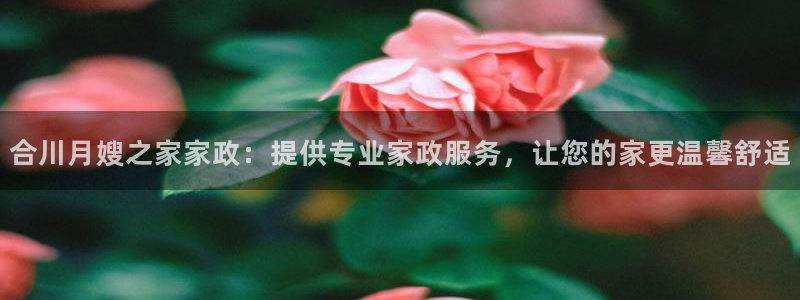 杏悦平台代理怎么做赚钱