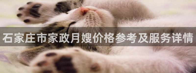 杏悦平台可靠吗可信吗是真的吗