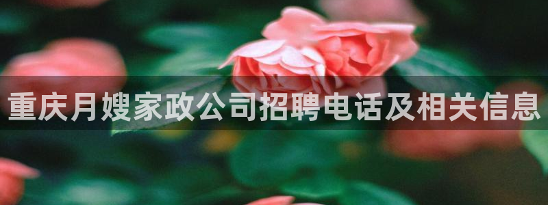 杏悦平台代理