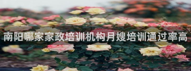 杏悦平台可靠吗可信吗知乎
