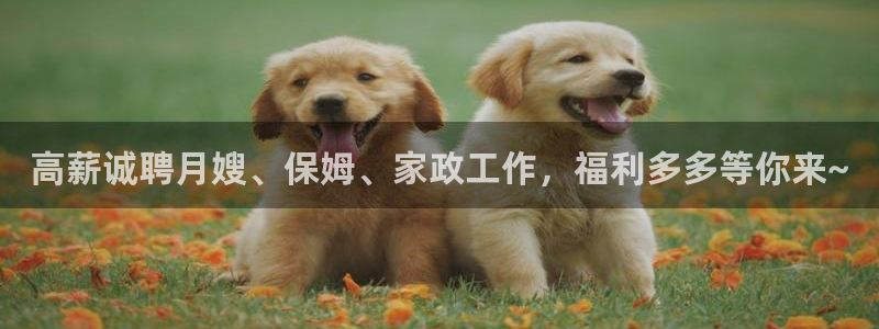 杏悦平台开户地址是什么
