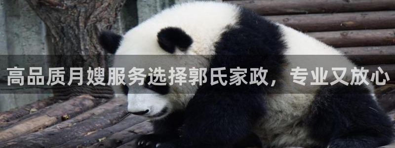 杏悦平台代理怎么做的