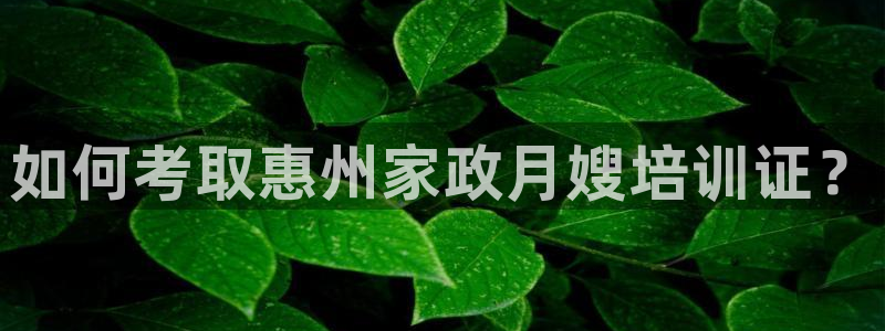 杏悦官方平台官网下载