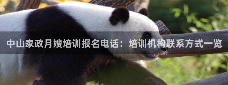 杏悦平台代理怎么样可靠吗