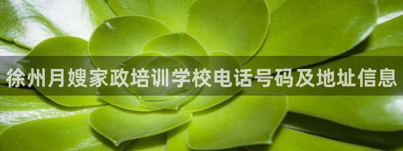 杏悦官方平台是正品吗知乎