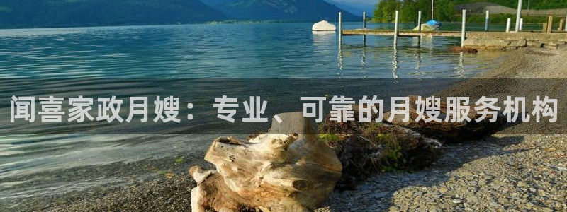 杏悦主管