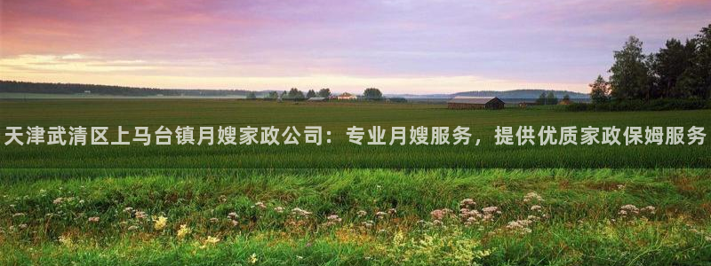 杏悦平台代理怎么做的