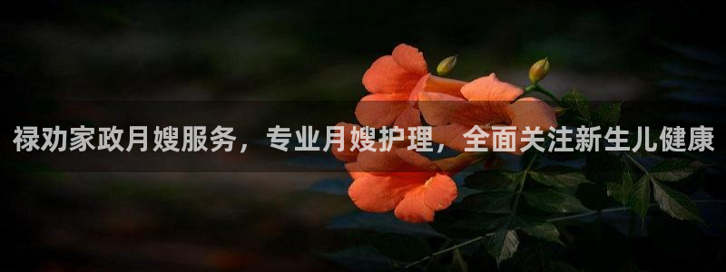 杏悦平台可靠吗是真的吗