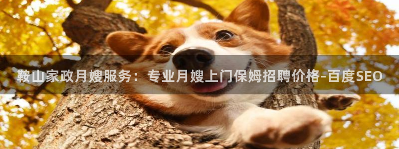 杏悦平台代理怎么赚钱