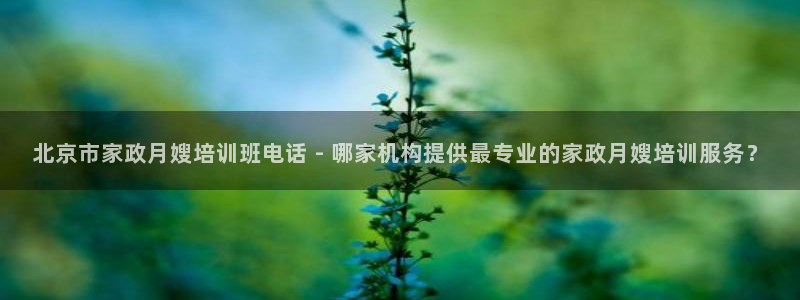 杏悦地址
