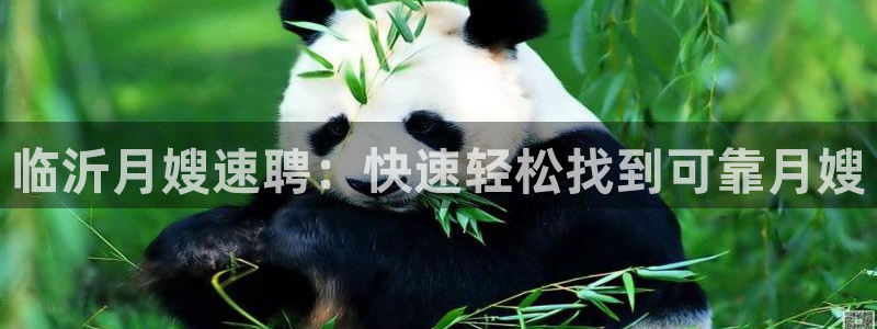 杏悦 -首选推荐平台