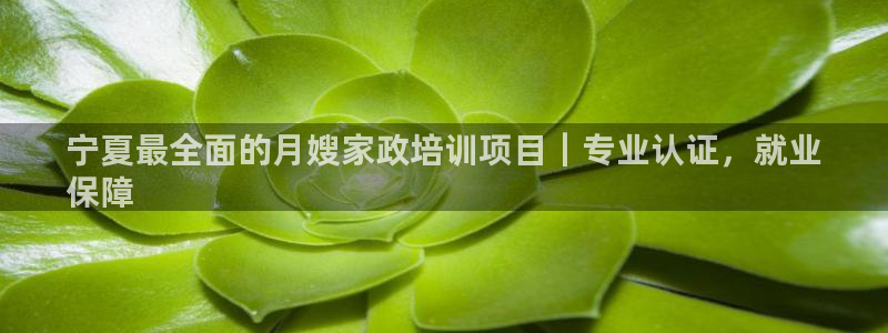 杏悦平台招商怎么样