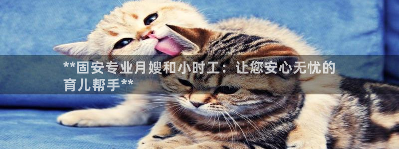 杏悦平台代理怎么样啊