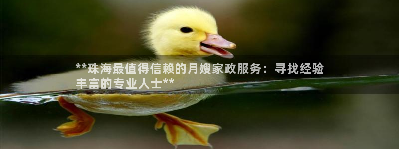 杏悦平台代理怎么样赚钱