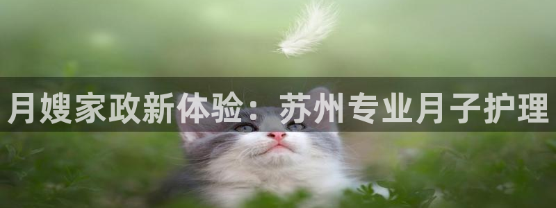 杏悦平台开户地址是什么