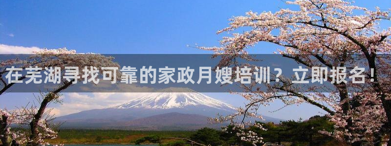 杏悦官方平台是正品吗安全吗
