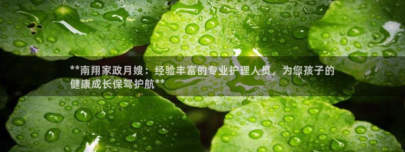 杏悦官方平台官网