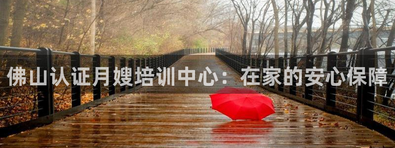 杏悦登入