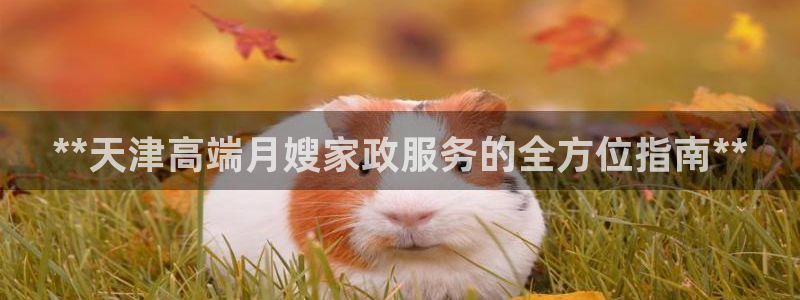 杏悦娱乐平台靠谱吗