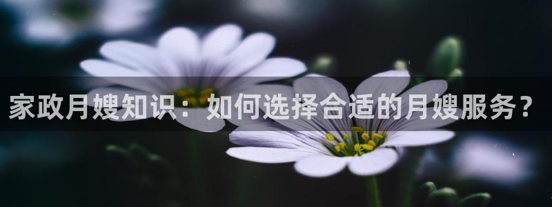 杏悦平台代理怎么样赚钱