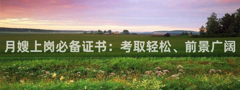 杏悦登入