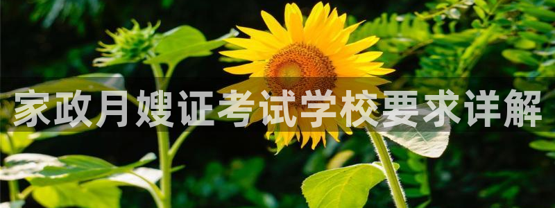 杏悦平台开户地址在哪里