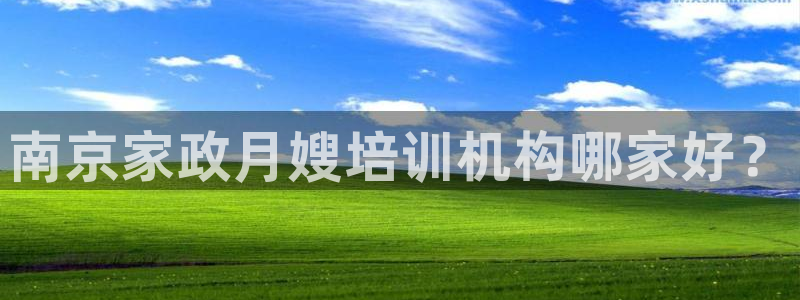 杏悦是什么