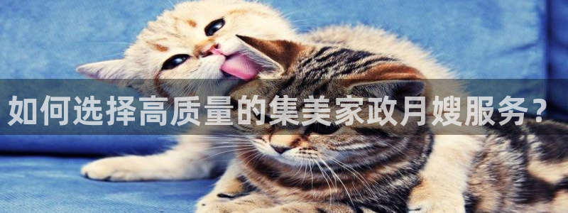 杏悦平台代理怎么样啊