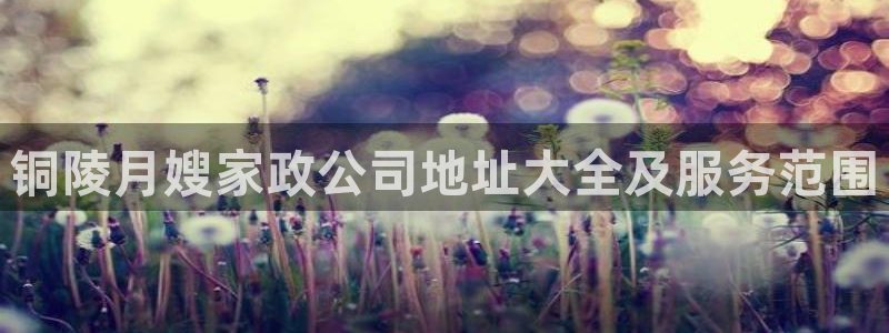 杏悦娱乐怎么玩