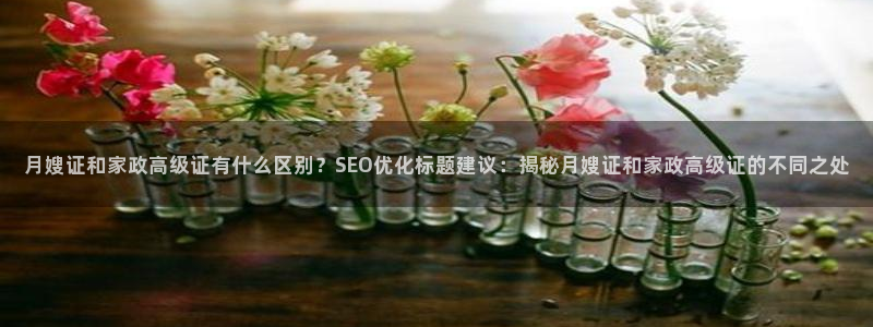 杏悦平台代理多少钱