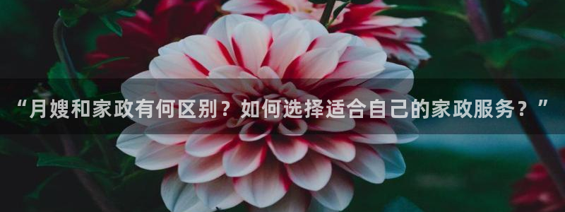杏悦娱乐怎么玩