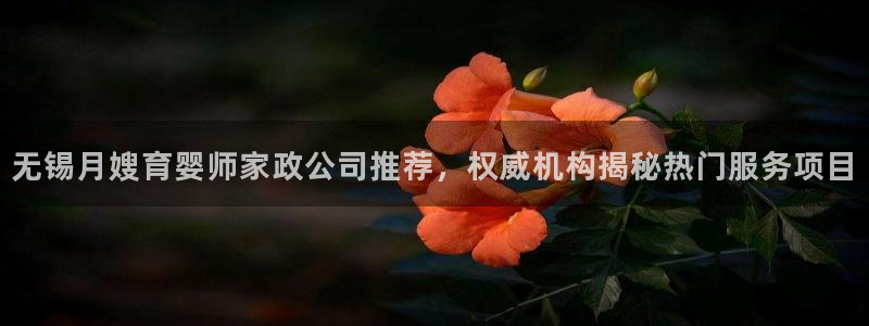 杏悦平台代理怎么做的